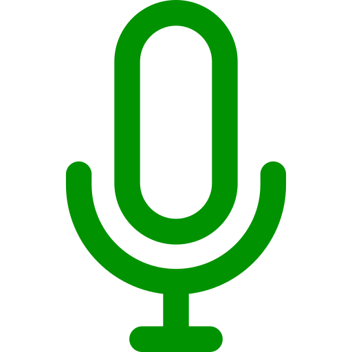 Quick Voice Input